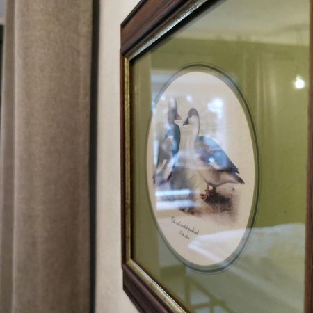 Zum G'Leut Bed & Breakfast Thiersheim Eksteriør bilde